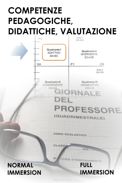 Competenze didattiche insegnanti